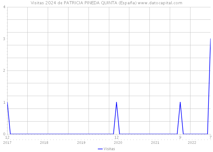 Visitas 2024 de PATRICIA PINEDA QUINTA (España) 