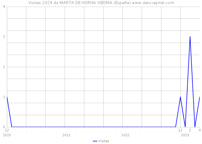 Visitas 2024 de MARTA DE HORNA VIEDMA (España) 
