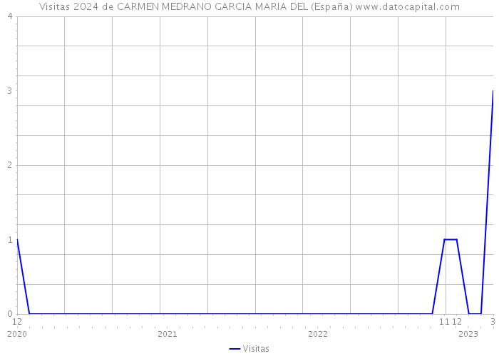 Visitas 2024 de CARMEN MEDRANO GARCIA MARIA DEL (España) 