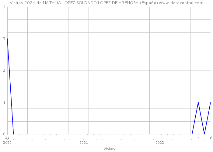 Visitas 2024 de NATALIA LOPEZ SOLDADO LOPEZ DE ARENOSA (España) 