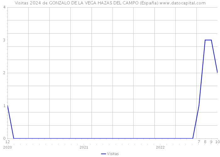 Visitas 2024 de GONZALO DE LA VEGA HAZAS DEL CAMPO (España) 