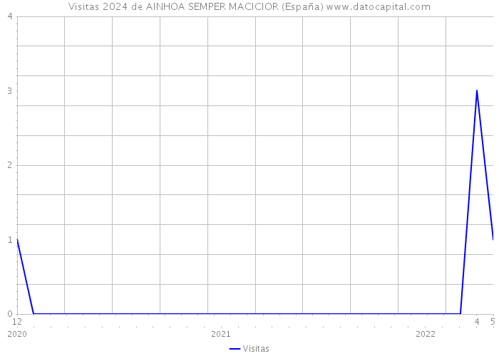 Visitas 2024 de AINHOA SEMPER MACICIOR (España) 