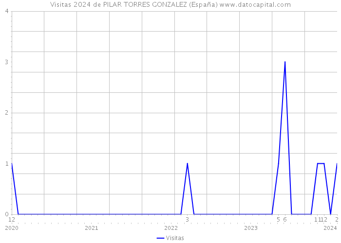 Visitas 2024 de PILAR TORRES GONZALEZ (España) 