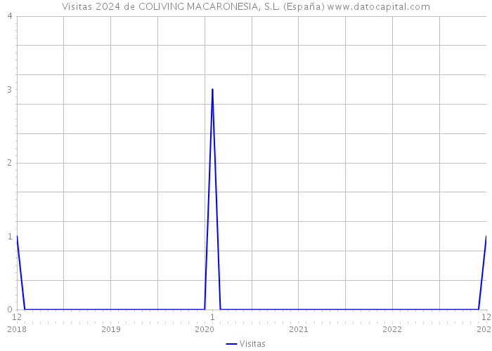 Visitas 2024 de COLIVING MACARONESIA, S.L. (España) 