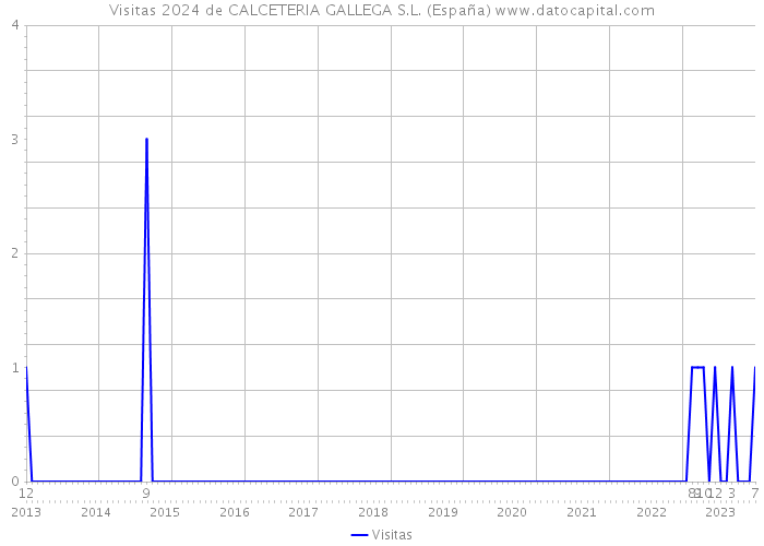 Visitas 2024 de CALCETERIA GALLEGA S.L. (España) 