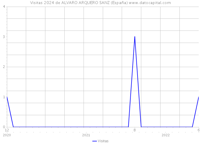 Visitas 2024 de ALVARO ARQUERO SANZ (España) 
