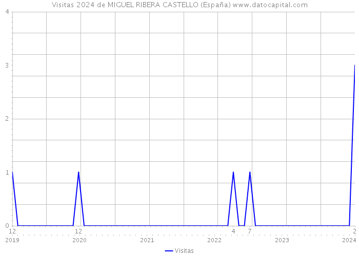 Visitas 2024 de MIGUEL RIBERA CASTELLO (España) 
