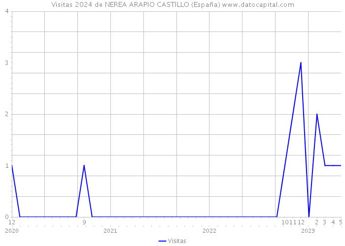 Visitas 2024 de NEREA ARAPIO CASTILLO (España) 