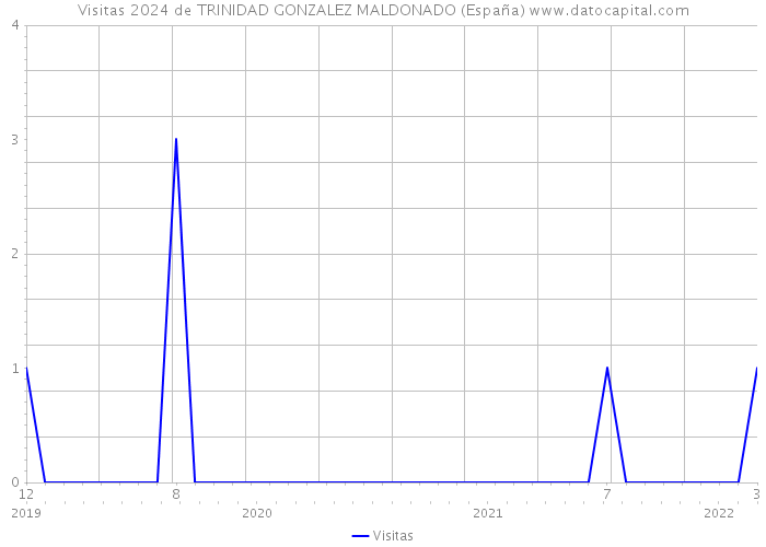 Visitas 2024 de TRINIDAD GONZALEZ MALDONADO (España) 