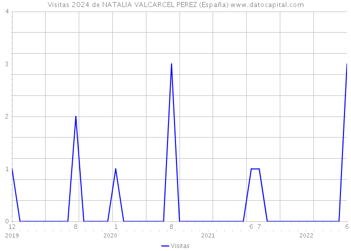 Visitas 2024 de NATALIA VALCARCEL PEREZ (España) 