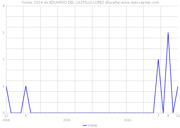 Visitas 2024 de EDUARDO DEL CASTILLO LOPEZ (España) 