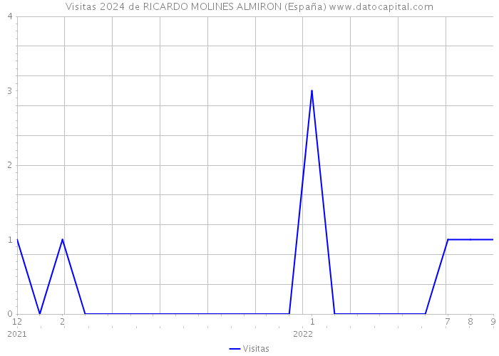 Visitas 2024 de RICARDO MOLINES ALMIRON (España) 
