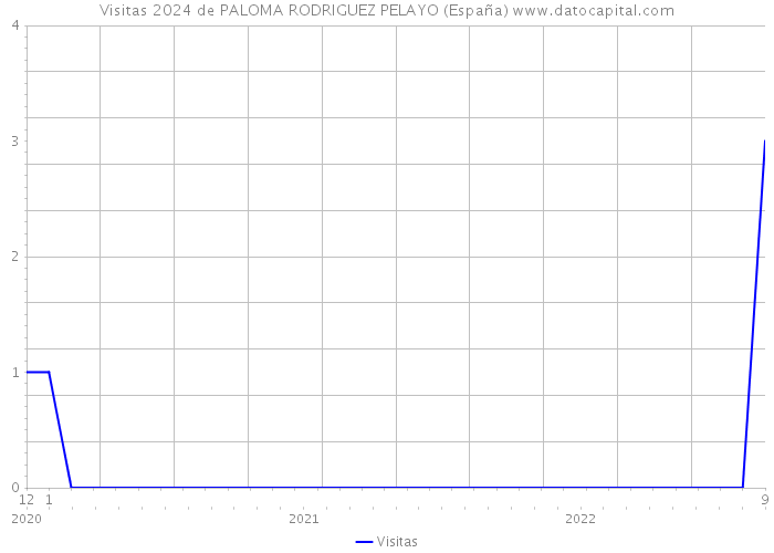 Visitas 2024 de PALOMA RODRIGUEZ PELAYO (España) 