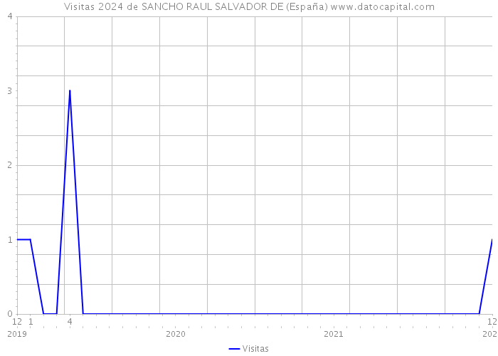 Visitas 2024 de SANCHO RAUL SALVADOR DE (España) 