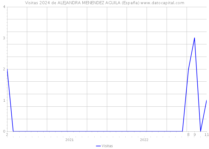 Visitas 2024 de ALEJANDRA MENENDEZ AGUILA (España) 