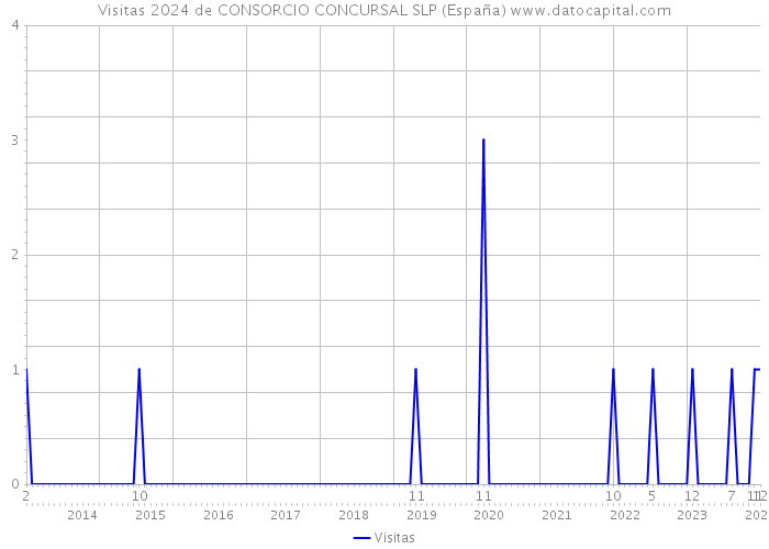 Visitas 2024 de CONSORCIO CONCURSAL SLP (España) 