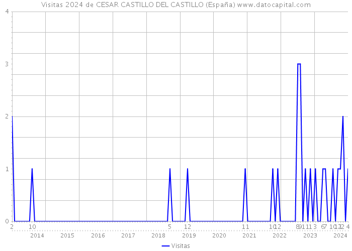 Visitas 2024 de CESAR CASTILLO DEL CASTILLO (España) 