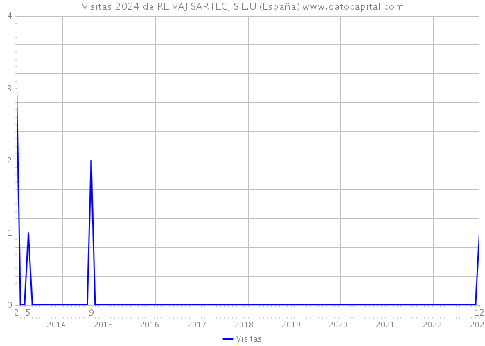 Visitas 2024 de REIVAJ SARTEC, S.L.U (España) 