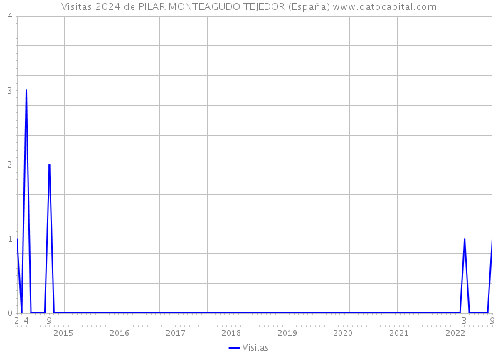 Visitas 2024 de PILAR MONTEAGUDO TEJEDOR (España) 