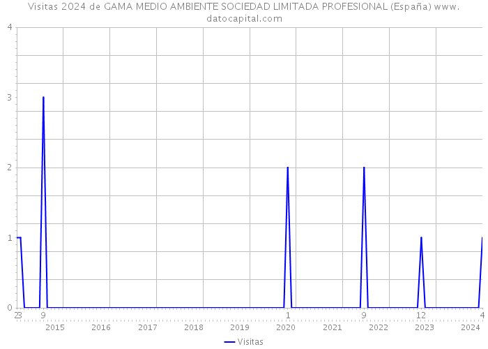 Visitas 2024 de GAMA MEDIO AMBIENTE SOCIEDAD LIMITADA PROFESIONAL (España) 