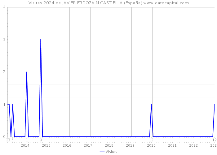 Visitas 2024 de JAVIER ERDOZAIN CASTIELLA (España) 