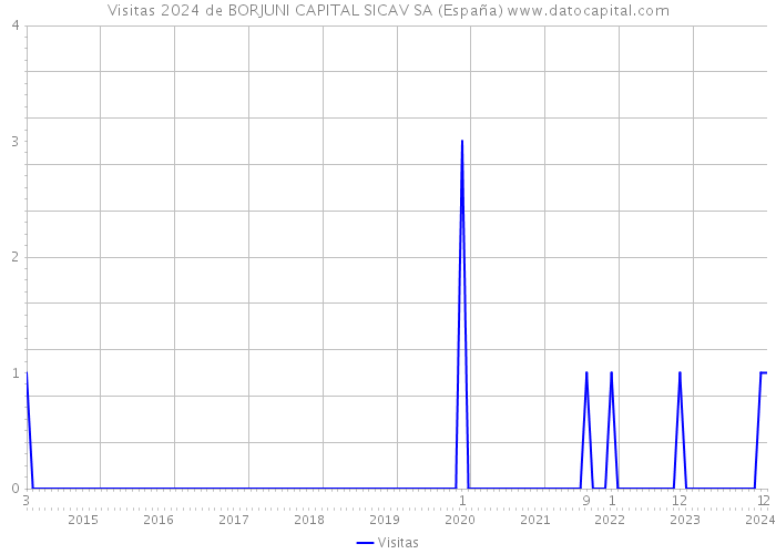 Visitas 2024 de BORJUNI CAPITAL SICAV SA (España) 