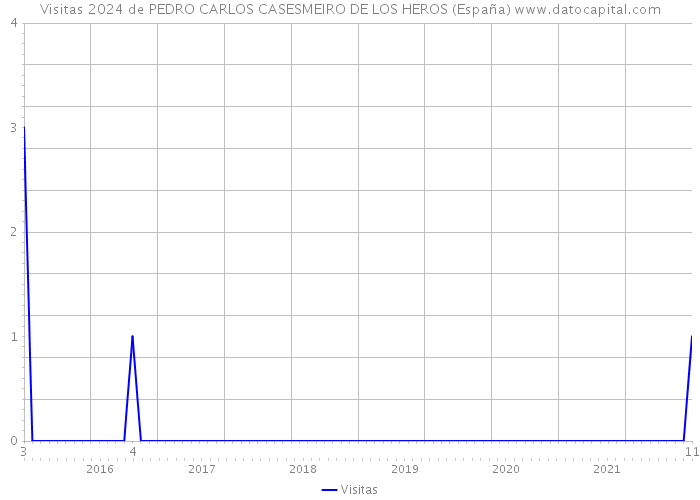 Visitas 2024 de PEDRO CARLOS CASESMEIRO DE LOS HEROS (España) 