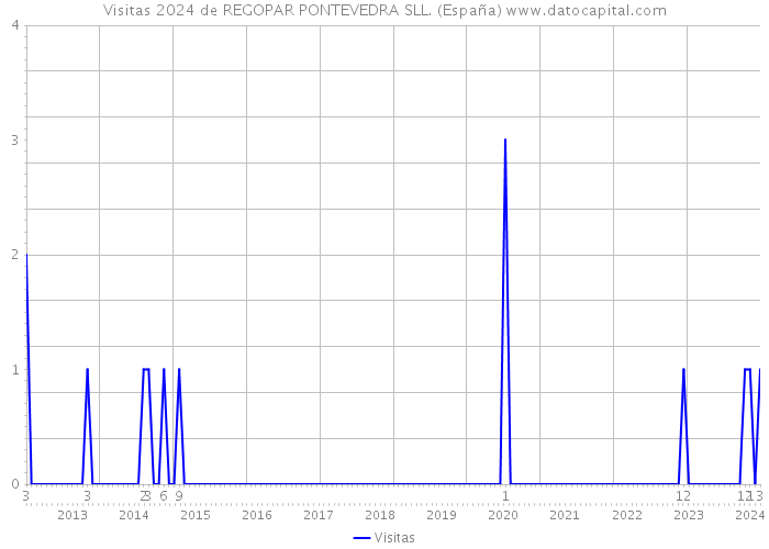 Visitas 2024 de REGOPAR PONTEVEDRA SLL. (España) 
