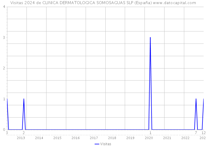Visitas 2024 de CLINICA DERMATOLOGICA SOMOSAGUAS SLP (España) 