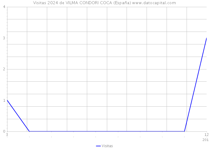 Visitas 2024 de VILMA CONDORI COCA (España) 