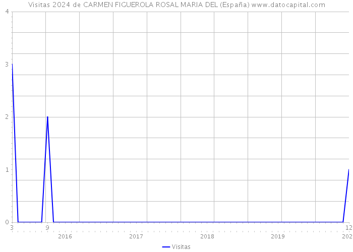 Visitas 2024 de CARMEN FIGUEROLA ROSAL MARIA DEL (España) 