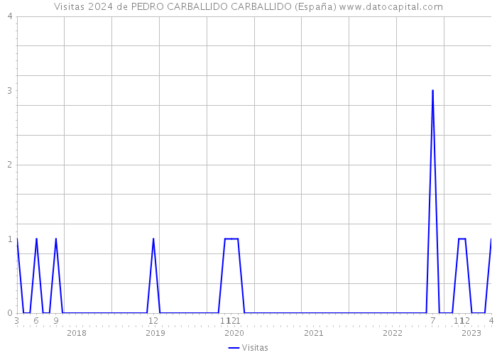 Visitas 2024 de PEDRO CARBALLIDO CARBALLIDO (España) 