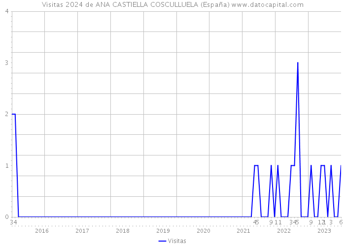 Visitas 2024 de ANA CASTIELLA COSCULLUELA (España) 