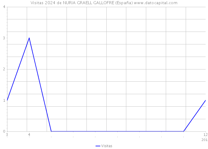 Visitas 2024 de NURIA GRAELL GALLOFRE (España) 