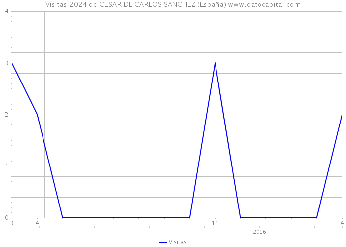 Visitas 2024 de CESAR DE CARLOS SANCHEZ (España) 