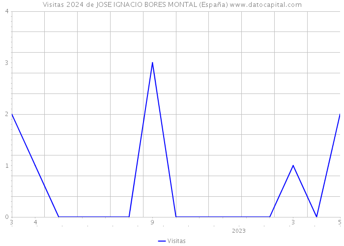 Visitas 2024 de JOSE IGNACIO BORES MONTAL (España) 
