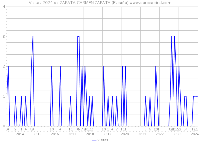 Visitas 2024 de ZAPATA CARMEN ZAPATA (España) 