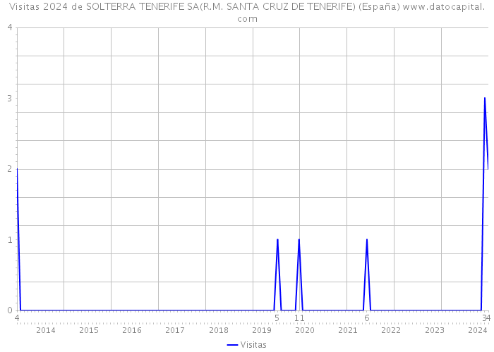 Visitas 2024 de SOLTERRA TENERIFE SA(R.M. SANTA CRUZ DE TENERIFE) (España) 