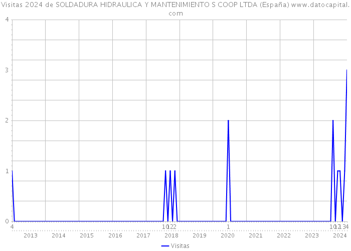 Visitas 2024 de SOLDADURA HIDRAULICA Y MANTENIMIENTO S COOP LTDA (España) 
