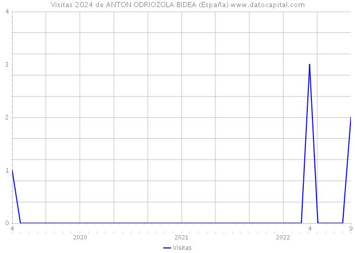 Visitas 2024 de ANTON ODRIOZOLA BIDEA (España) 