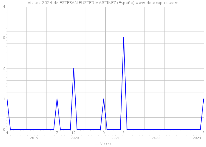 Visitas 2024 de ESTEBAN FUSTER MARTINEZ (España) 