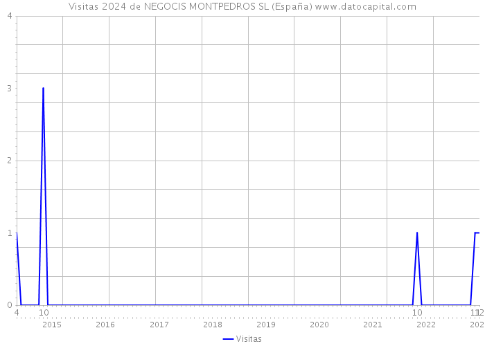 Visitas 2024 de NEGOCIS MONTPEDROS SL (España) 