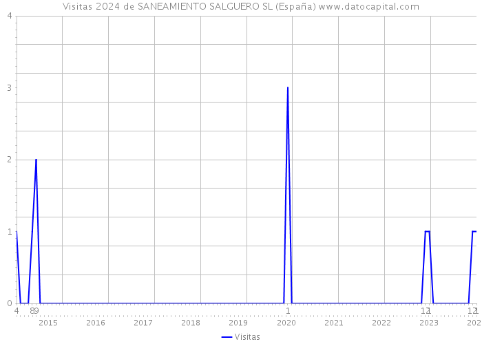 Visitas 2024 de SANEAMIENTO SALGUERO SL (España) 