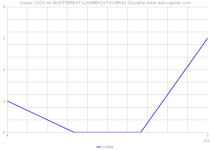 Visitas 2024 de MONTSERRAT LLAMBRICH FIGUERAS (España) 
