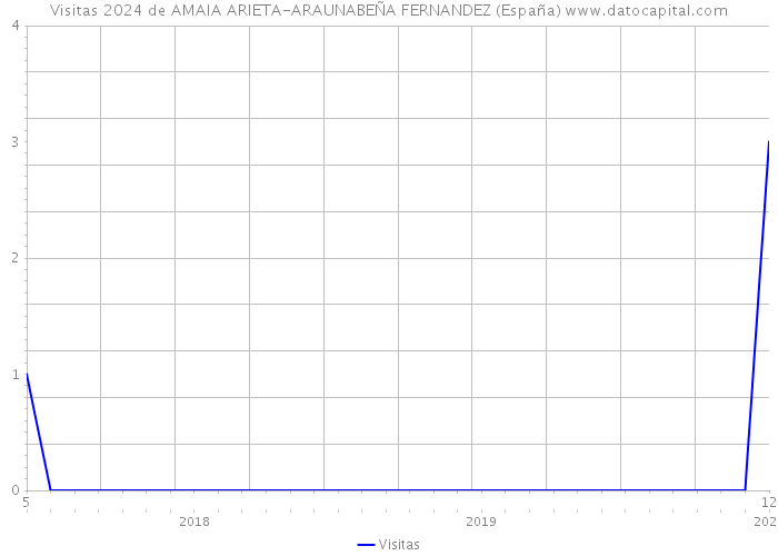 Visitas 2024 de AMAIA ARIETA-ARAUNABEÑA FERNANDEZ (España) 