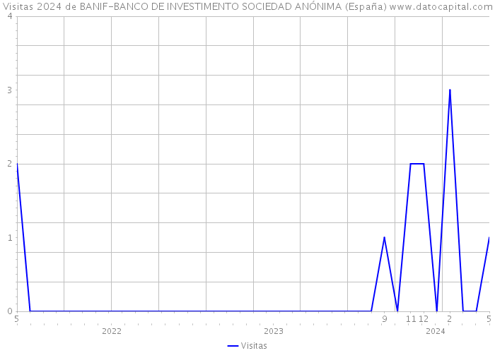 Visitas 2024 de BANIF-BANCO DE INVESTIMENTO SOCIEDAD ANÓNIMA (España) 