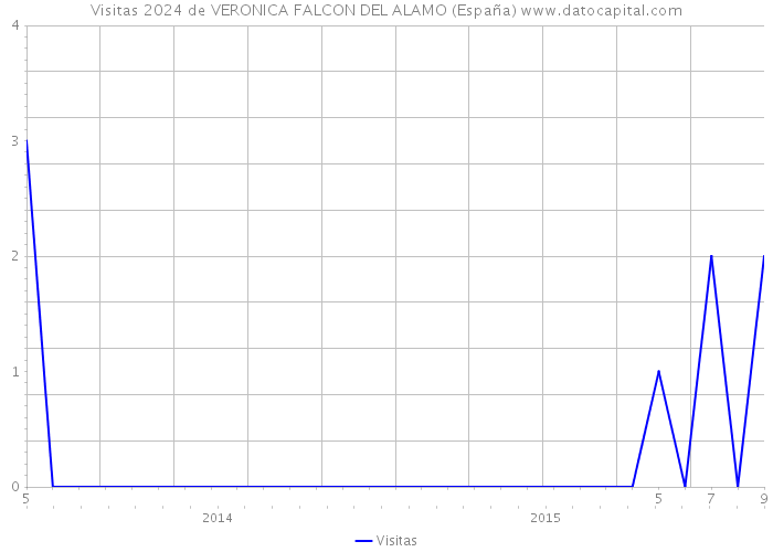 Visitas 2024 de VERONICA FALCON DEL ALAMO (España) 