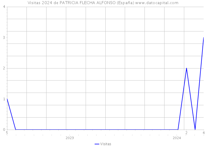 Visitas 2024 de PATRICIA FLECHA ALFONSO (España) 