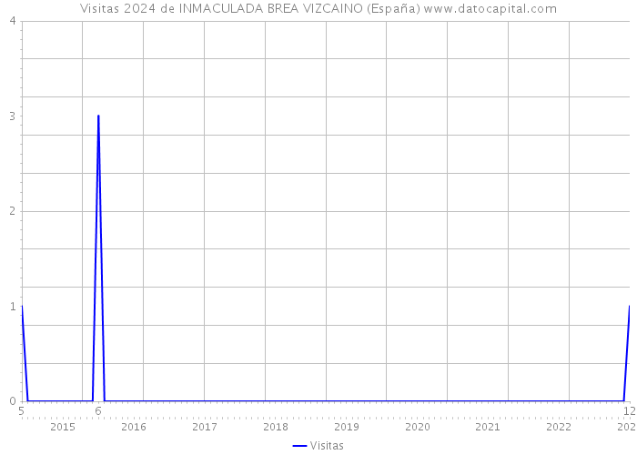 Visitas 2024 de INMACULADA BREA VIZCAINO (España) 