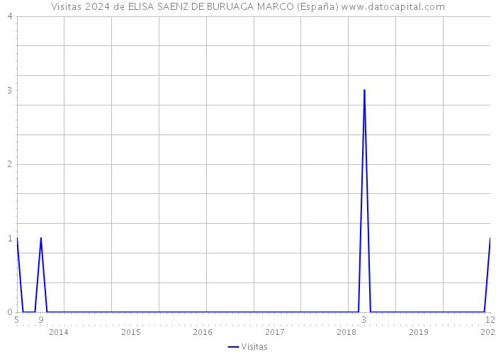 Visitas 2024 de ELISA SAENZ DE BURUAGA MARCO (España) 